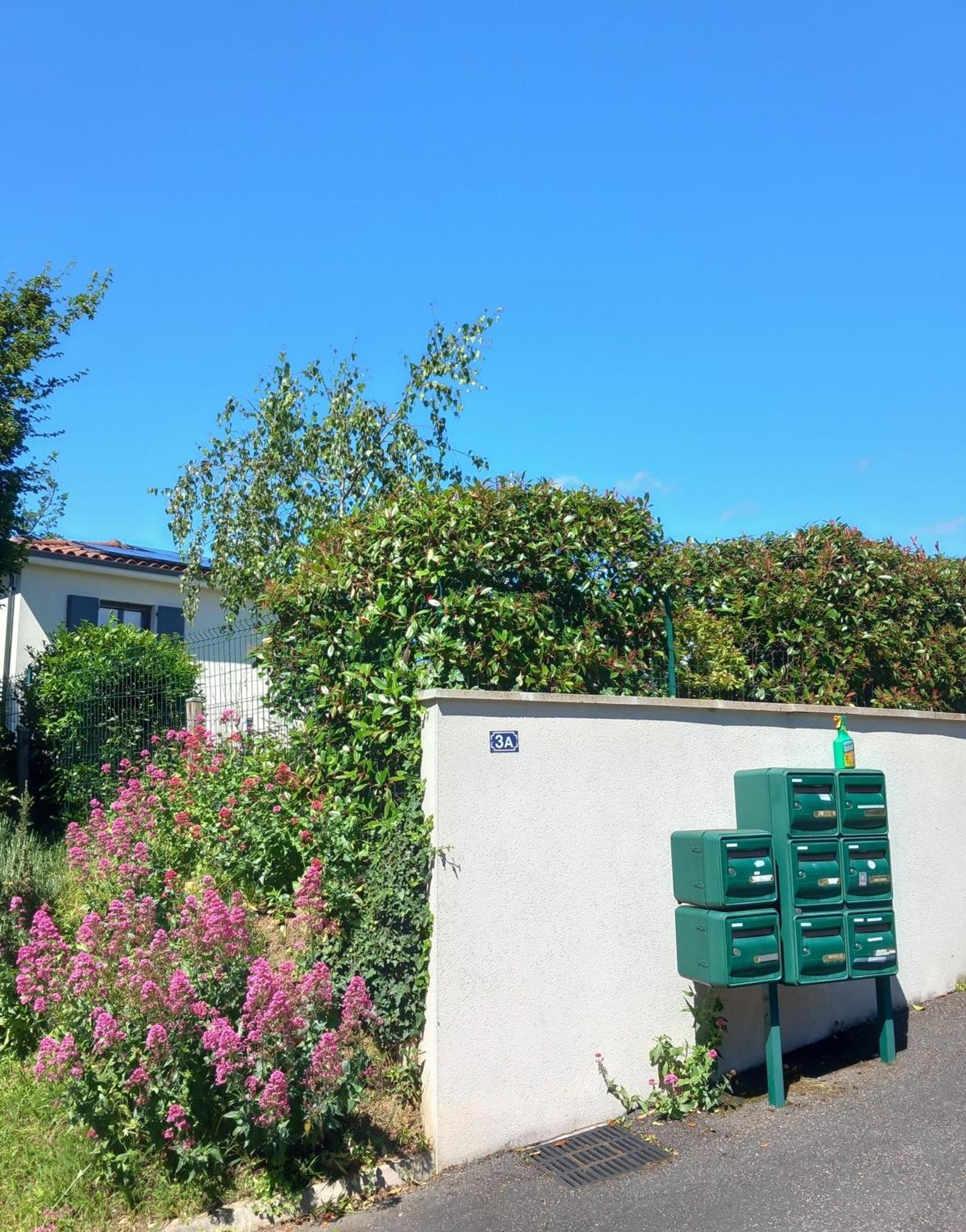 Apartamento L'Olivier Mornant Exterior foto