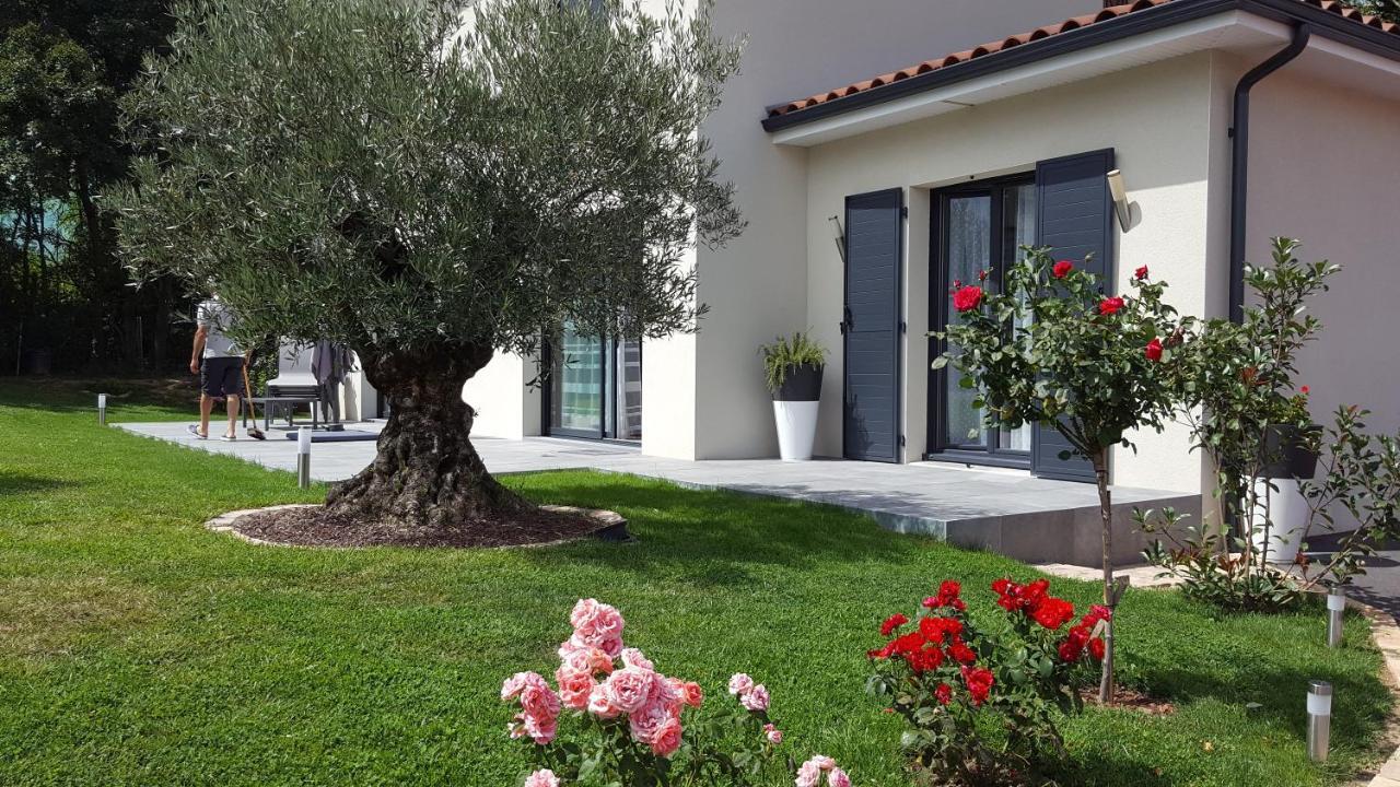 Apartamento L'Olivier Mornant Exterior foto